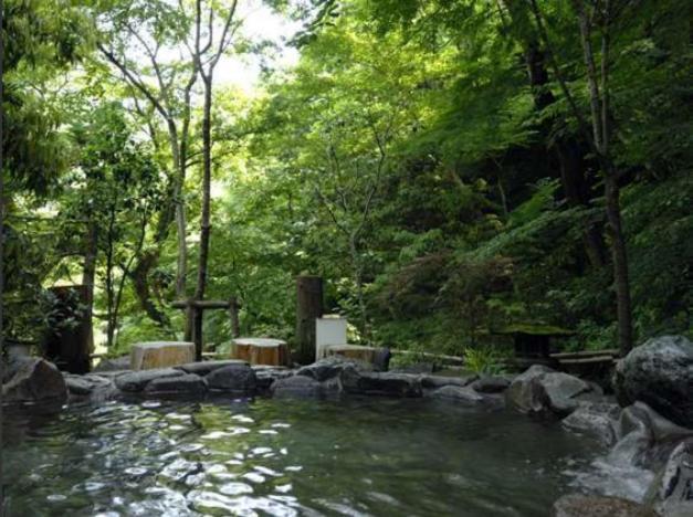 Hotel Nanpuso Hakone Ngoại thất bức ảnh